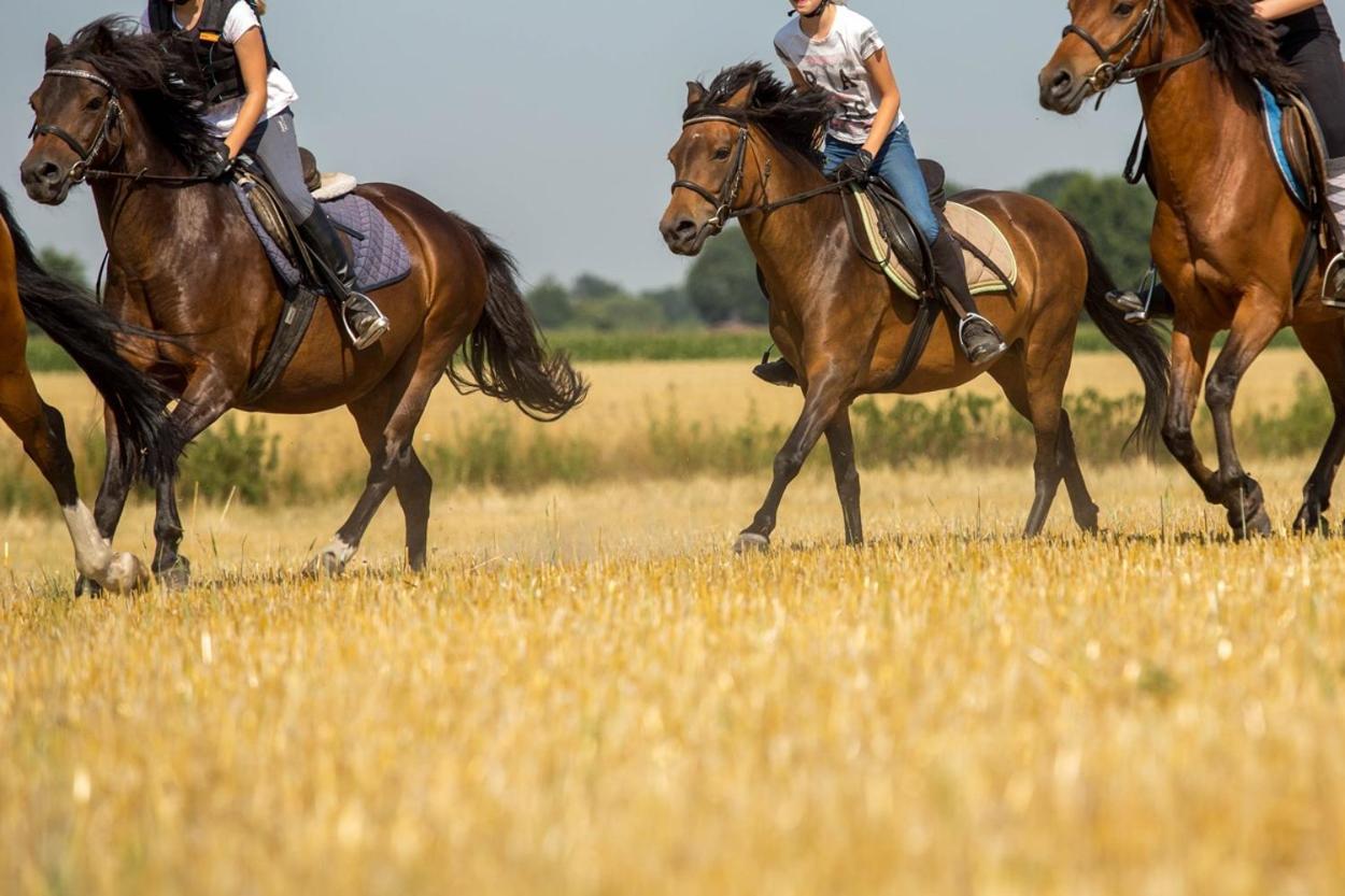 Ferienwohnungen Georgenbruch Everswinkel Kültér fotó